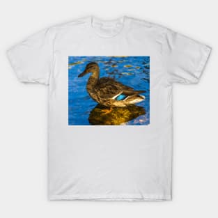 Quack! T-Shirt